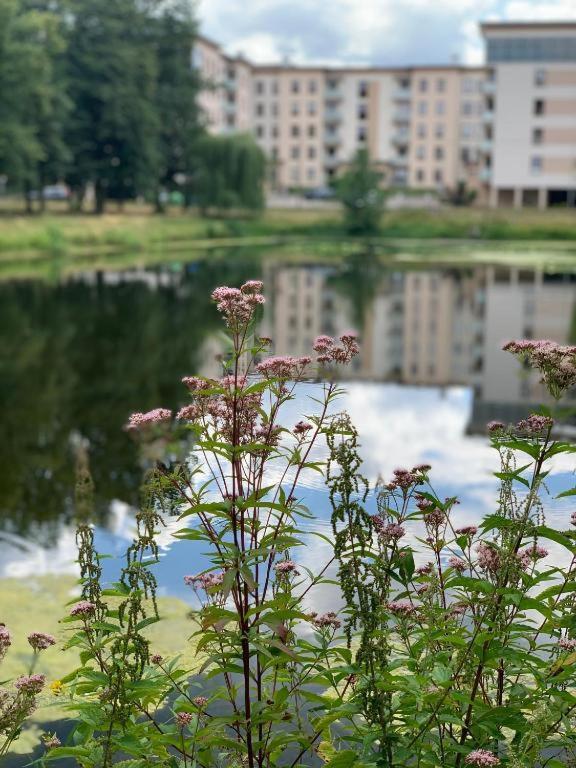 Europa22 Apartament "Sen Jak W Pieciogwiazdkowym Hotelu" - Centrum Miasta Tomaszow Mazowiecki Luaran gambar